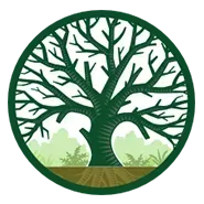 Accredited Tree Surgeon