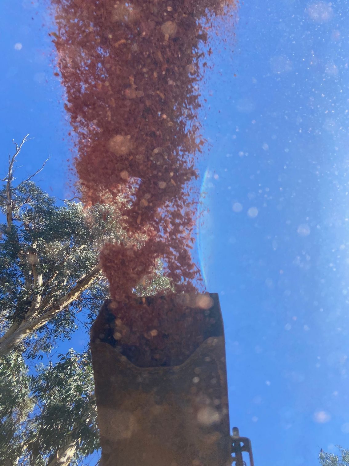 A Machine is shooting out mulch — Mudgee Tree Services in Parkes, NSW