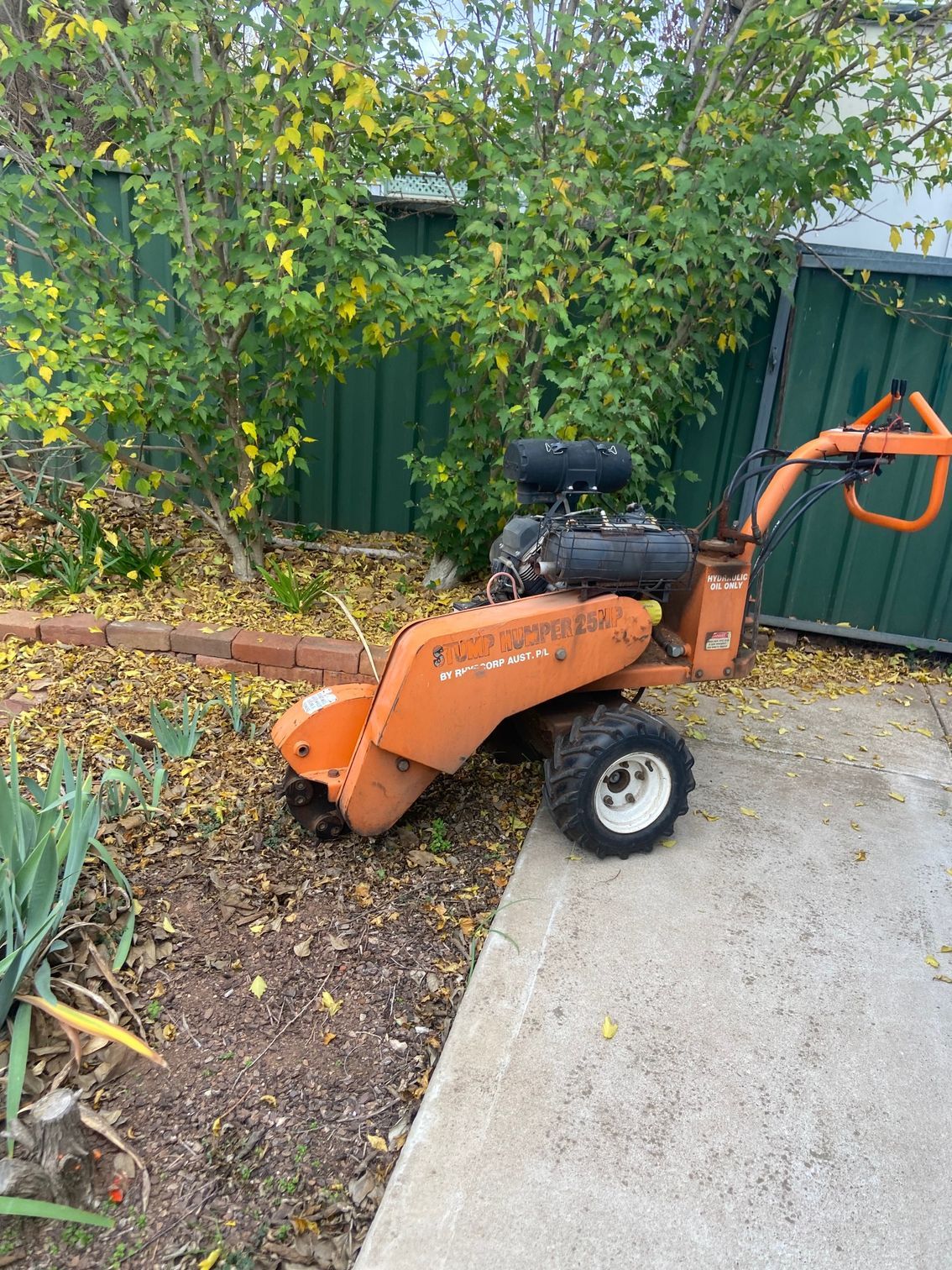 A Stump Grinder about to start work— Mudgee Tree Services in Eurunderee, NSW