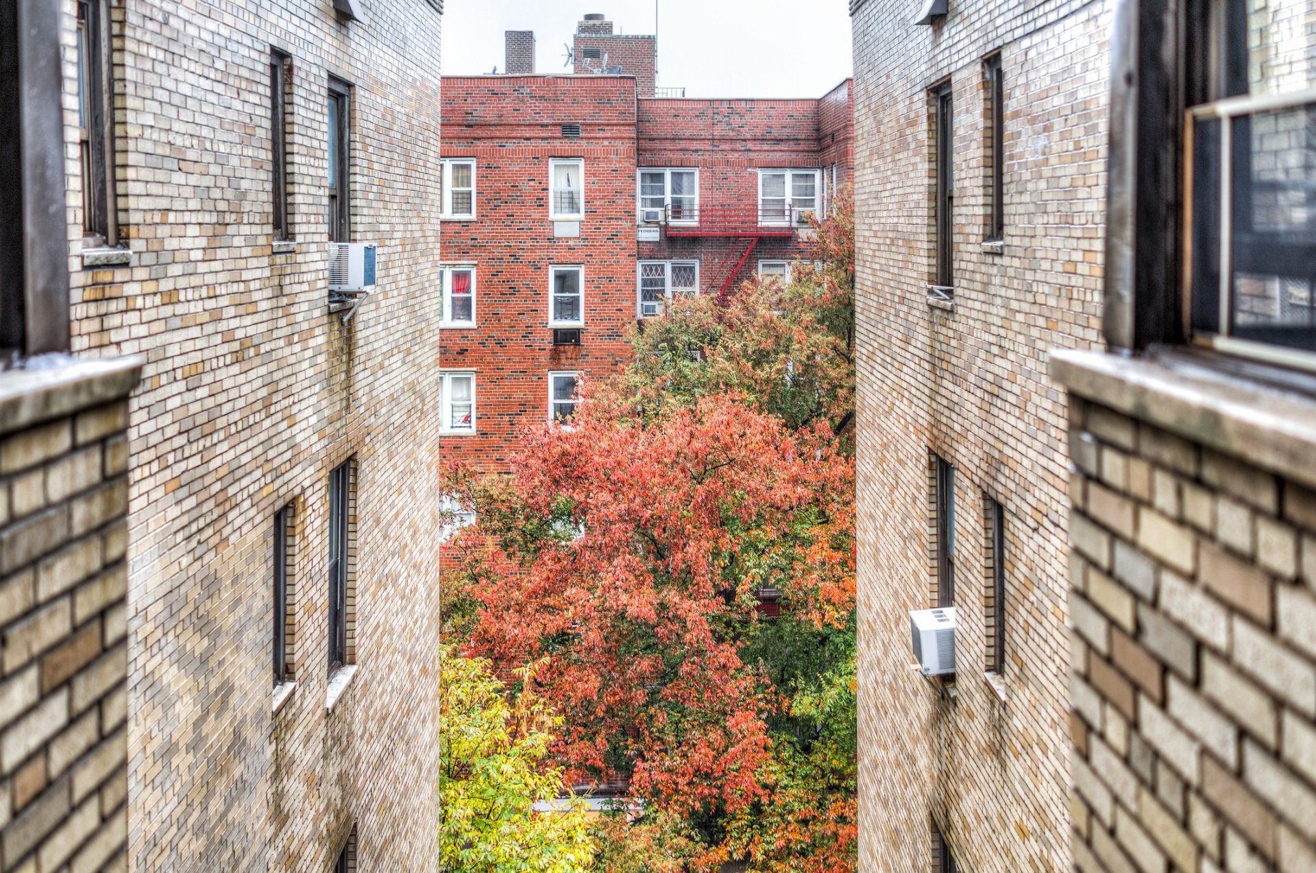NYC Stabilized Housing photo