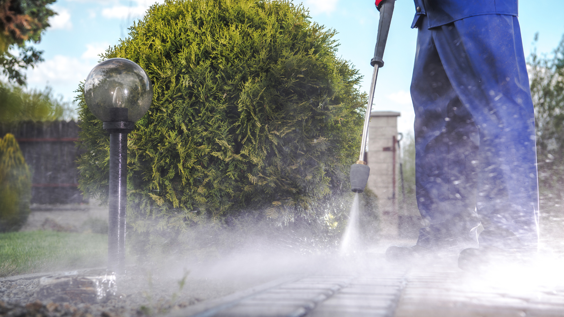 Move-In/Move-Out Cleaning Service
