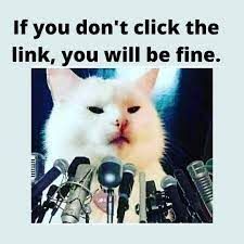 A white cat is standing in front of a bunch of microphones.