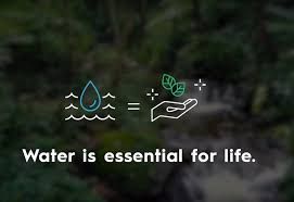 Water is essential for life.