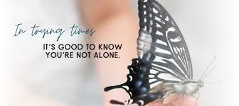 A person is holding a butterfly in their hand.