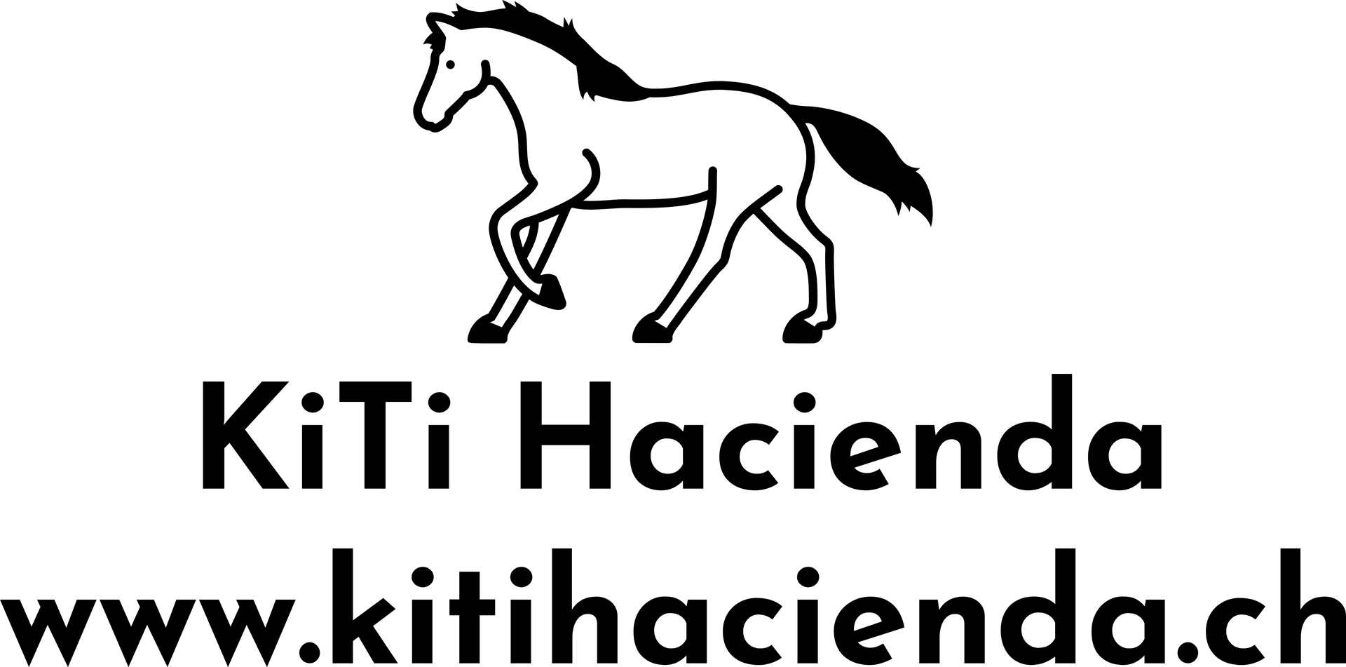 Ponyreiten