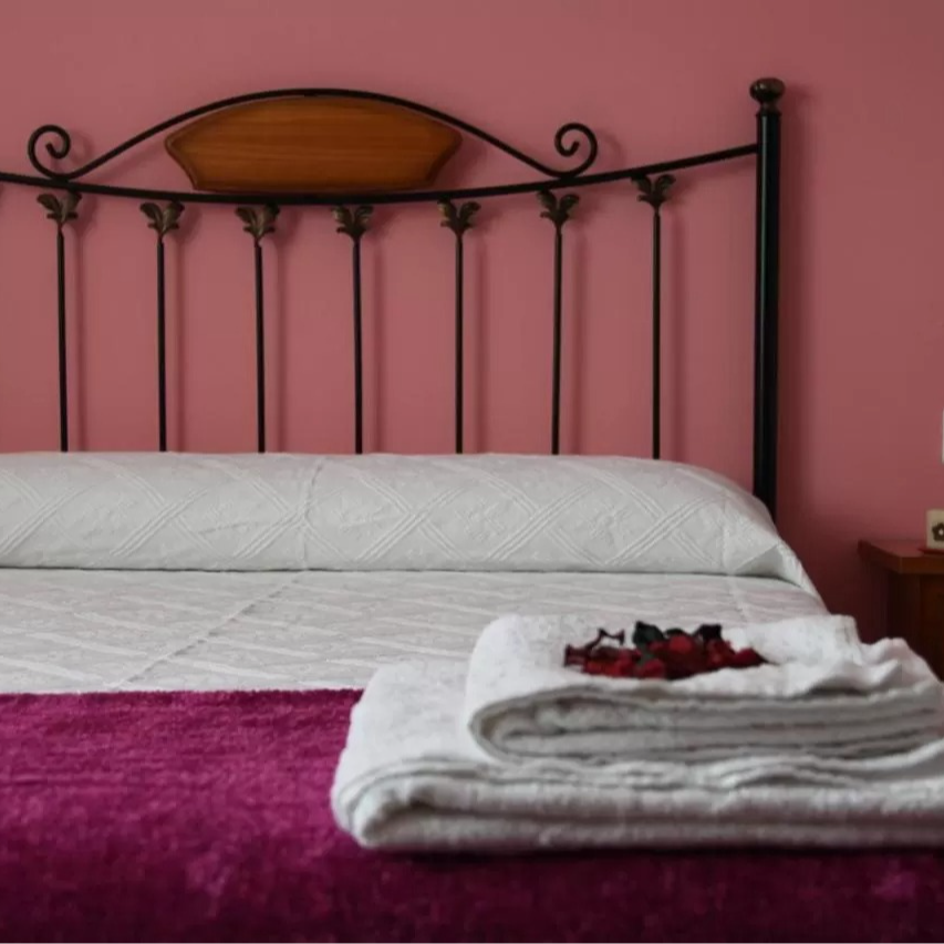 Bedroom with a bed, pink wall, black metal headboard, and a white and purple bedspread.