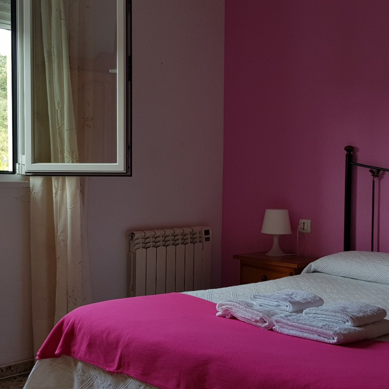 Bedroom with a pink wall, bed, nightstand, window, and radiator.