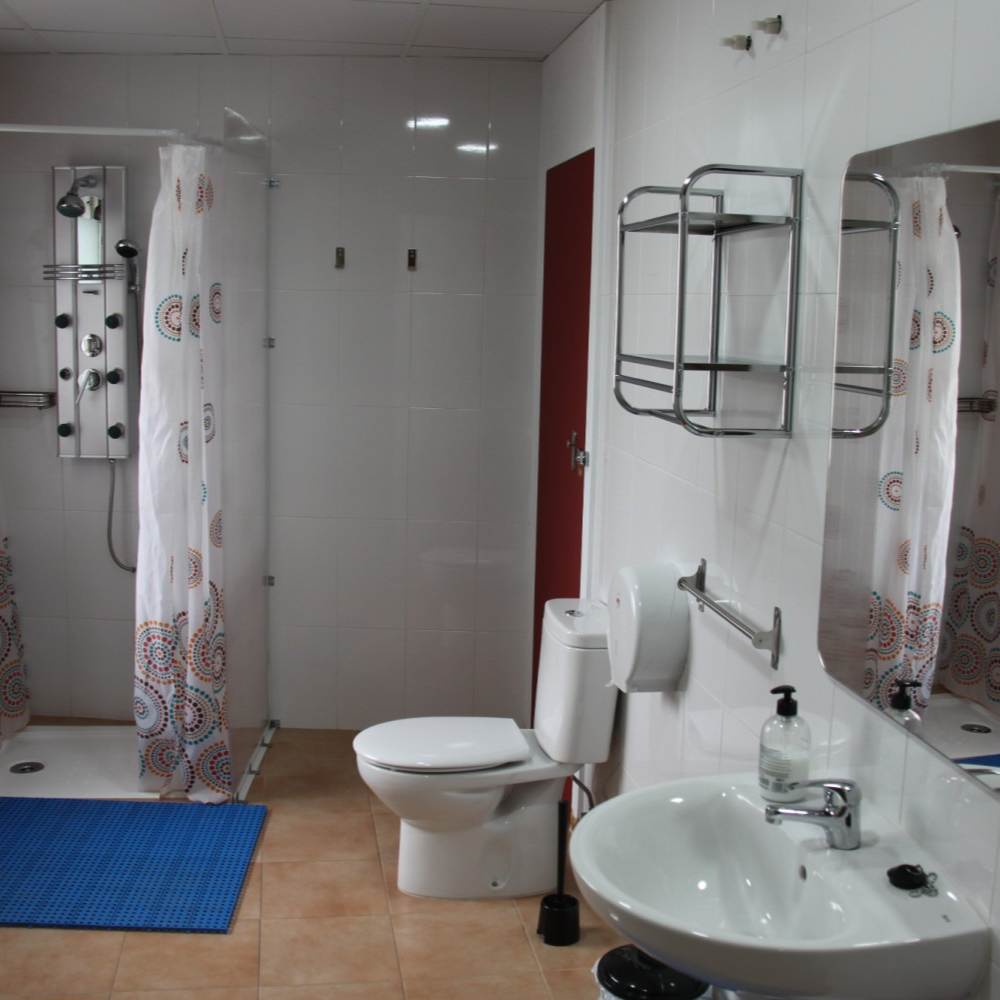 Bathroom with shower, toilet, sink, and mirror; white walls, blue mat, patterned shower curtain.