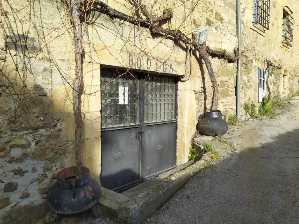 Stone building with arched metal door and grapevines. Black pots sit below the vines on each side of the door.