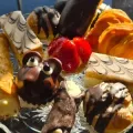 Assorted chocolate and fruit pastries on a plate, including strawberries, orange slices, and cream-filled treats