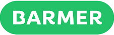 Logo von Bramer