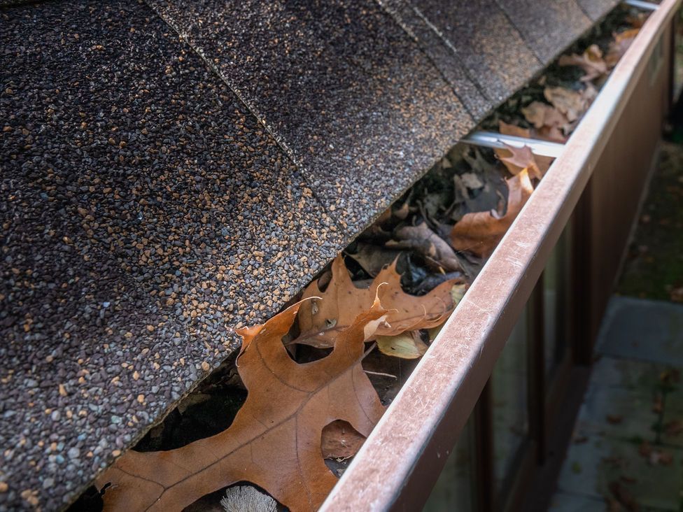 A gutter filled with leaves on the side of a house.