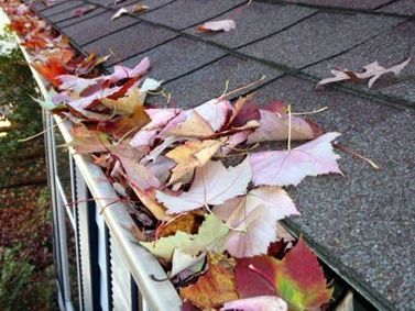 Autumn leaves piled along a shingled roof edge and gutter on a house