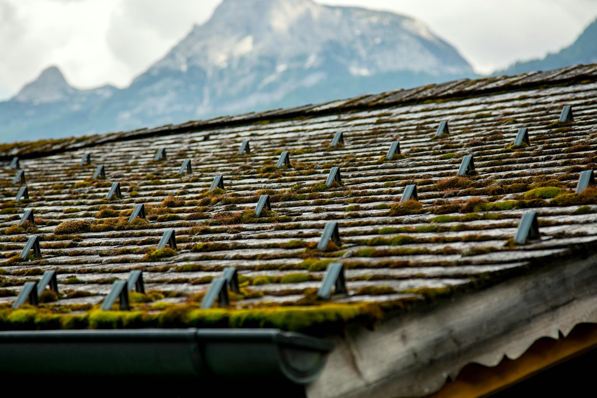 Moss-covered rooftop with rows of weathered shingles and mountain peaks in the background