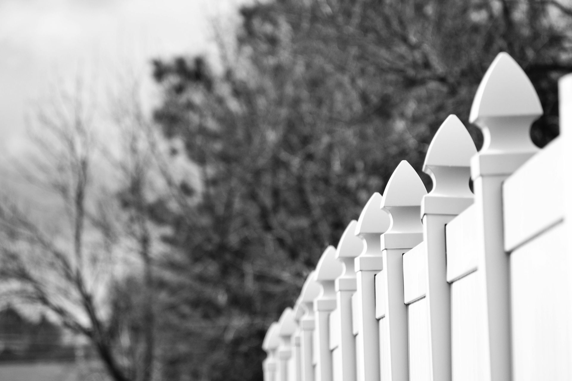 White picket fence with decorative finials, blurred trees in background.