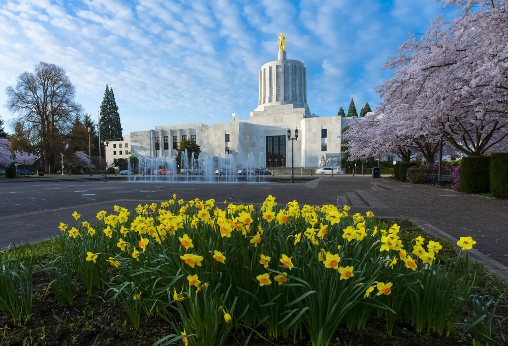 A bunch of yellow flowers are in front of a building