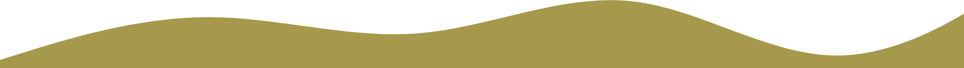 A green wave shaped page divider