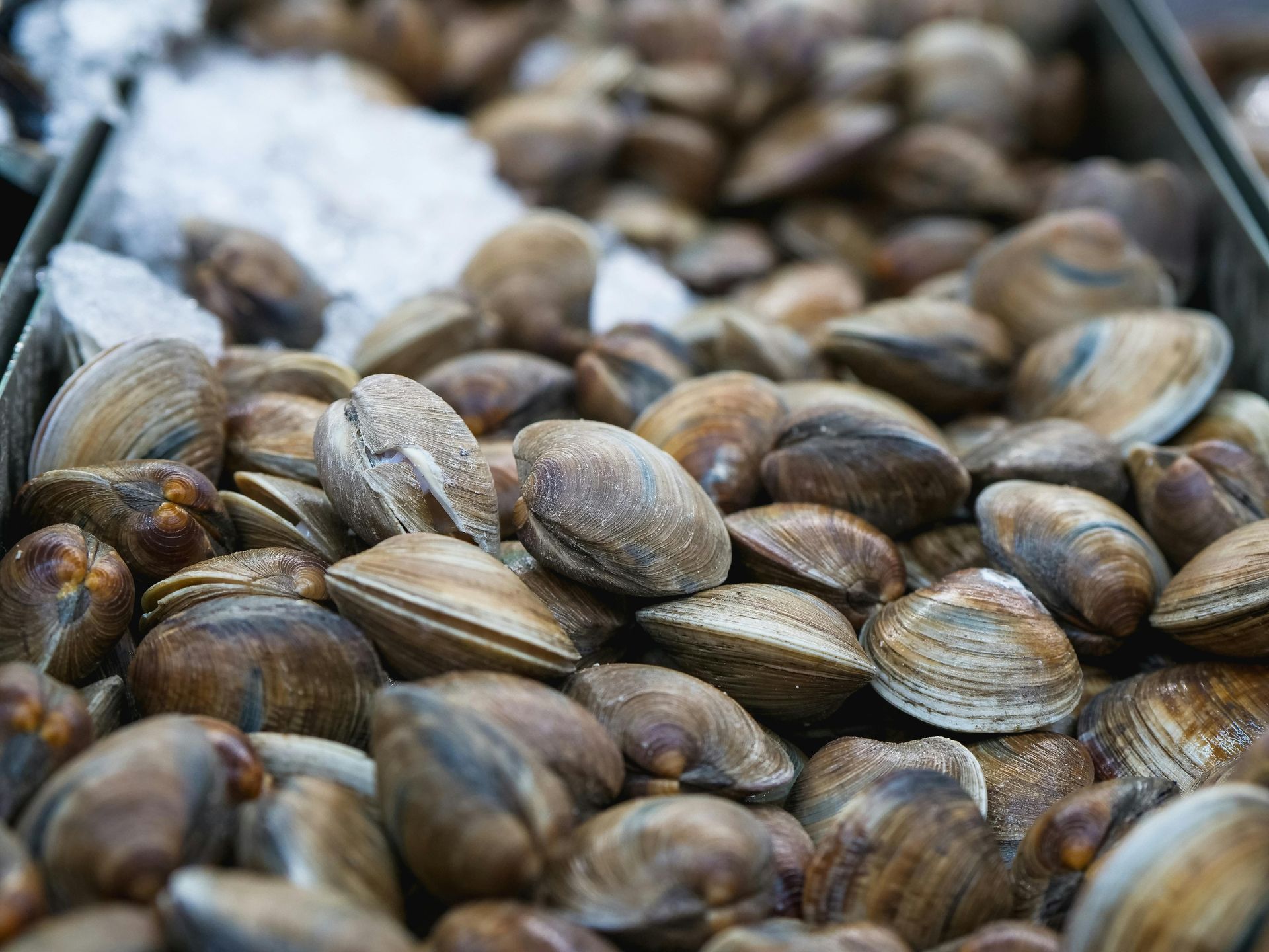 Clams Casino