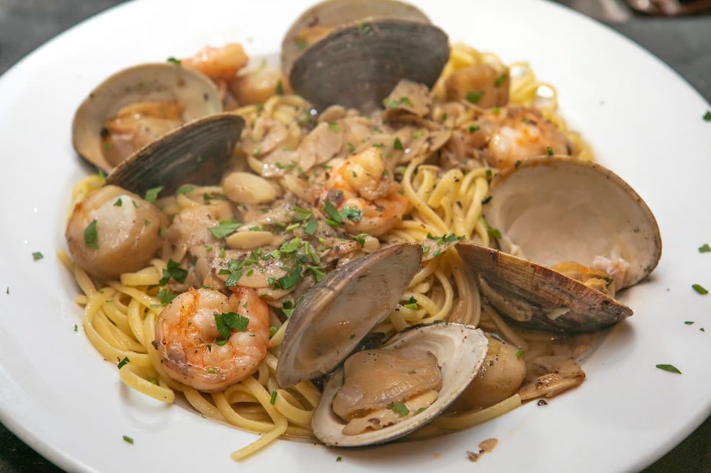 A white plate topped with spaghetti with clams and shrimp