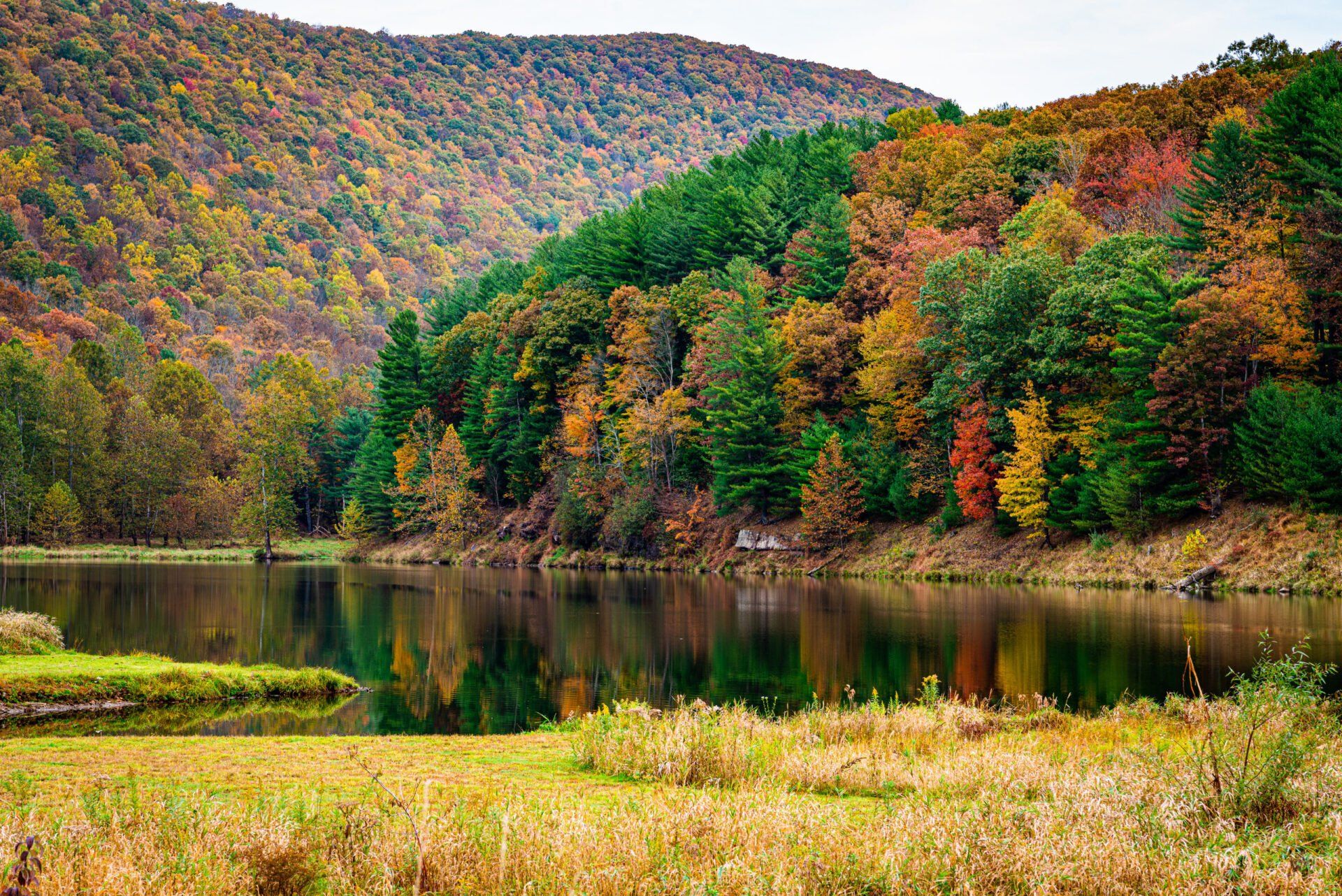 Meadville landscape with a pond and forest