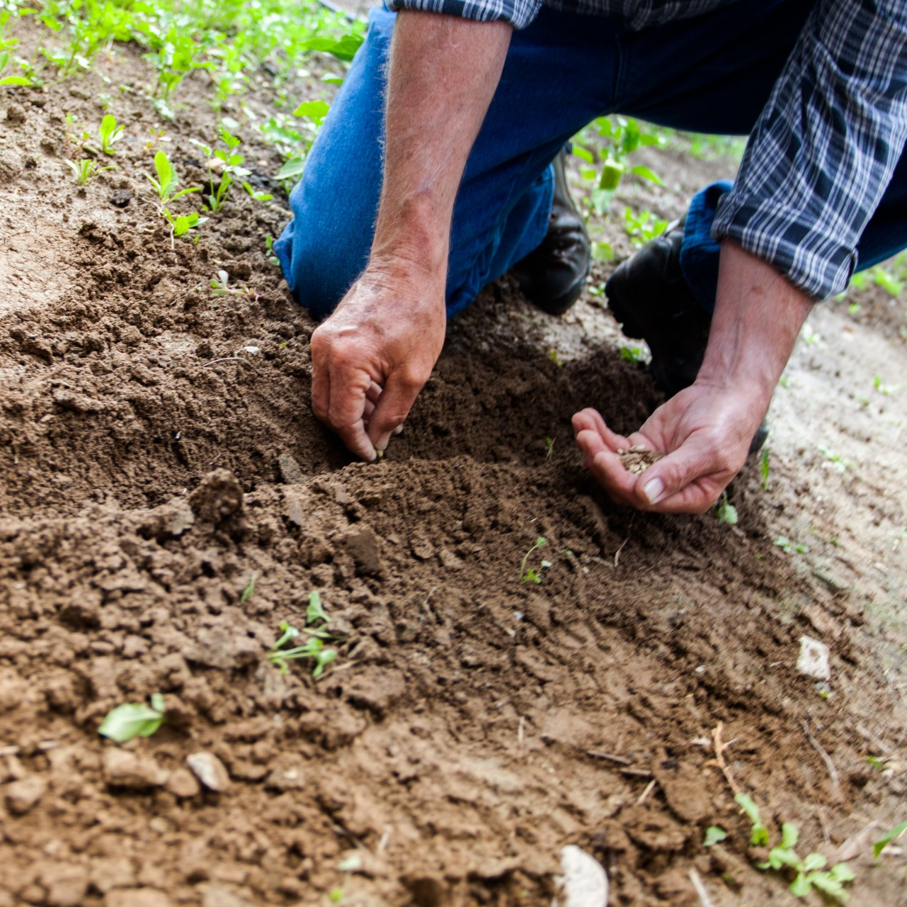 A close up of a landscaping employee's hands