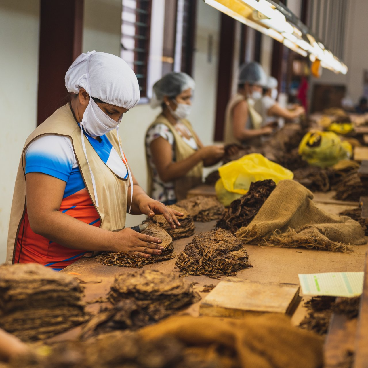 A row of material handlers