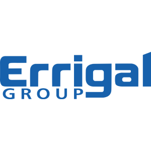 Blue Errigal Group logo on a white background