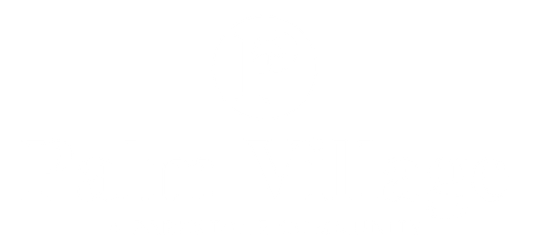 Palm Village Logo - Footer