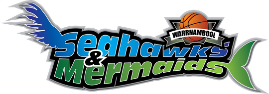 Seattle Seahawks and Seattle Storm logo with blue and green text and a basketball graphic