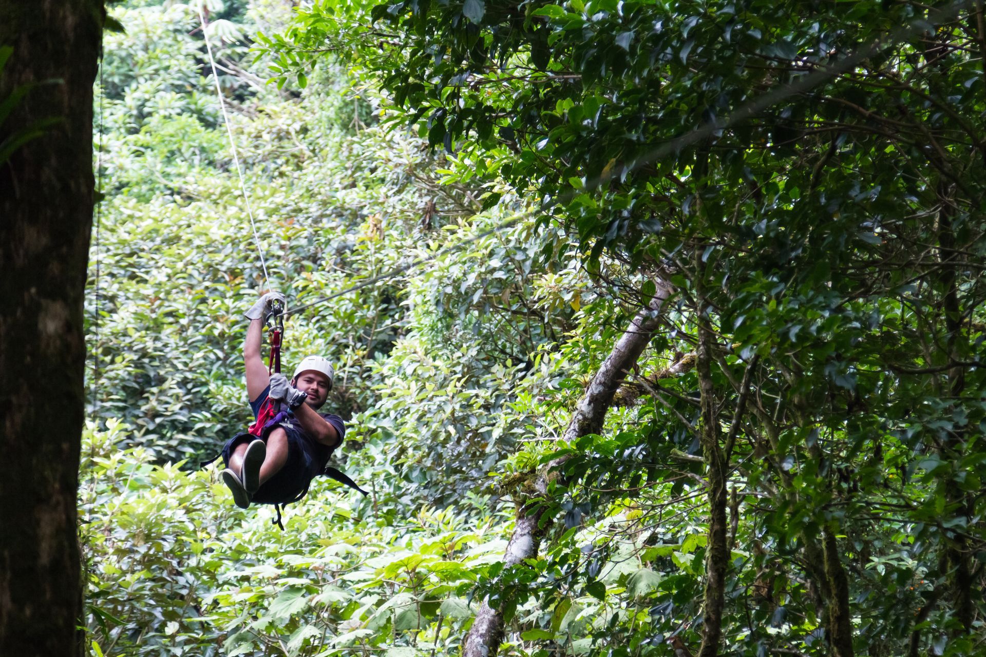 A person is flying through the air on a zip line in the woods.