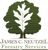 Logo for jneutzel forestry service
