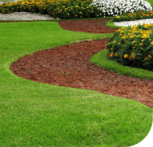 A vibrant garden featuring a curved mulch path winding through lush green grass, bordered by yellow and white flower beds.