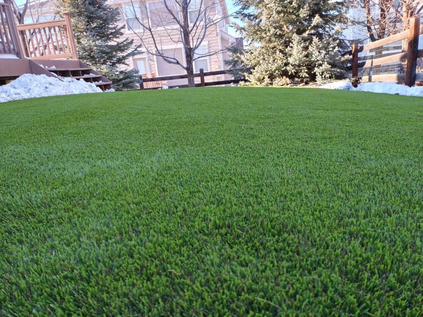 A close-up of a vibrant green artificial grass lawn in a backyard with patches of snow along the edges.