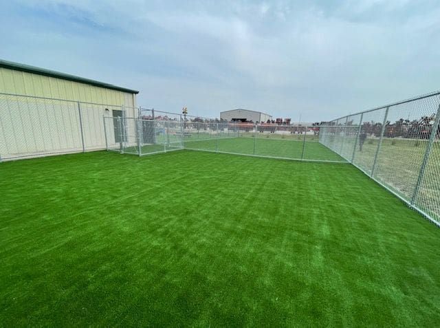 A fenced-in, rectangular outdoor area covered with bright green artificial grass beside a cream-colored building.