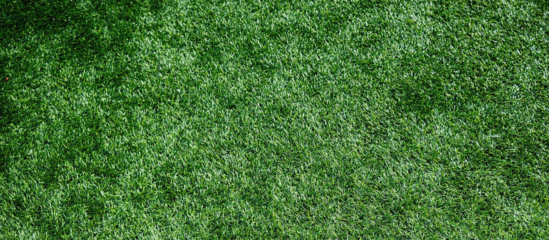 A patch of lush, vibrant green grass texture.