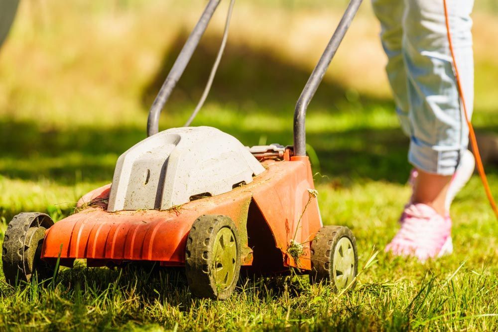 A Person is Using a Lawn Mower to Cut the Grass — Great Lakes Mowers & Chainsaws In Forster, NSW
