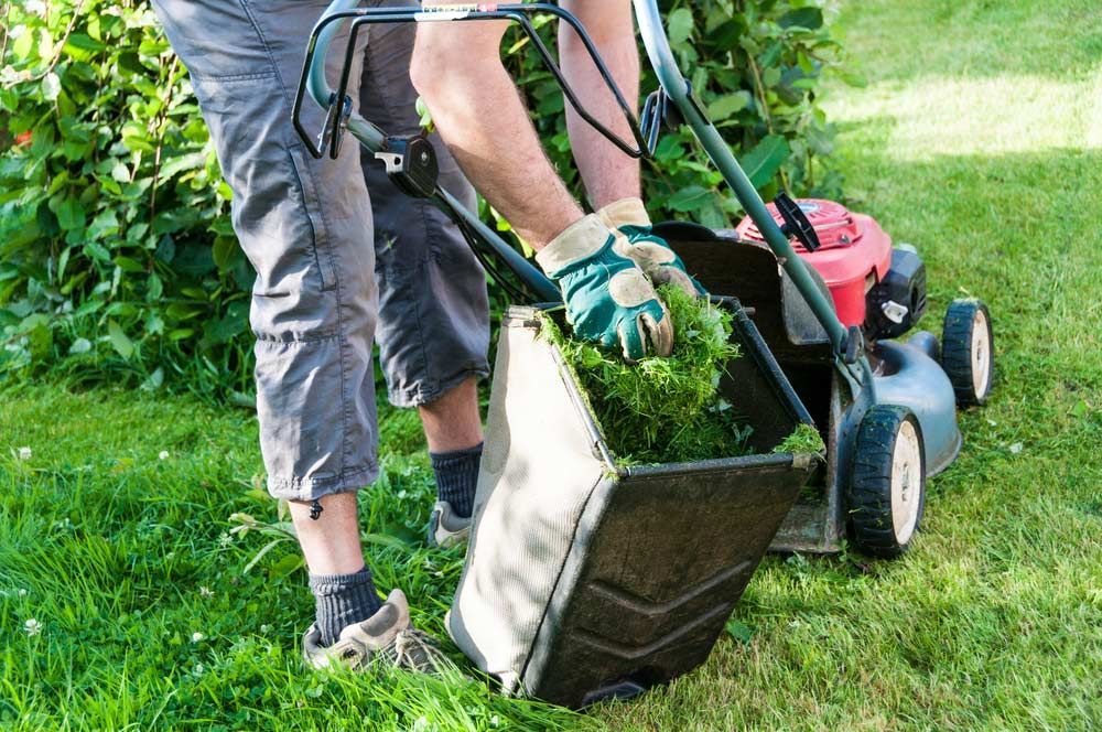 A Man is Cutting the Grass With a Lawn Mower — Great Lakes Mowers & Chainsaws In Hallidays Point, NSW