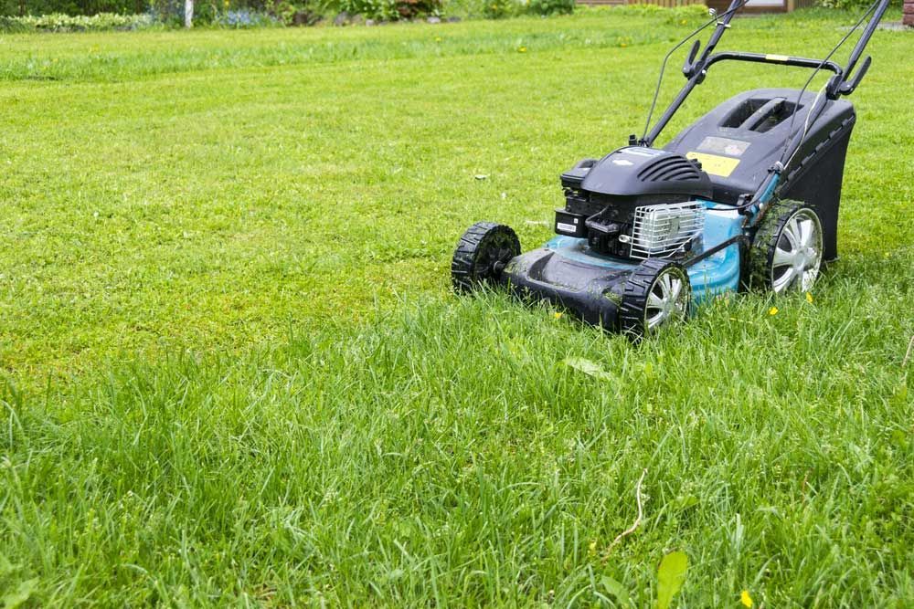 A Lawn Mower is Sitting on Top of a Lush Green Lawn — Great Lakes Mowers & Chainsaws In Tuncurry, NSW