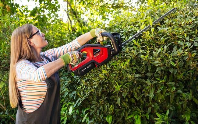 Person Trimming a Hedge With a Red Electric Hedge Trimmer — Great Lakes Mowers & Chainsaws In Tuncurry, NSW