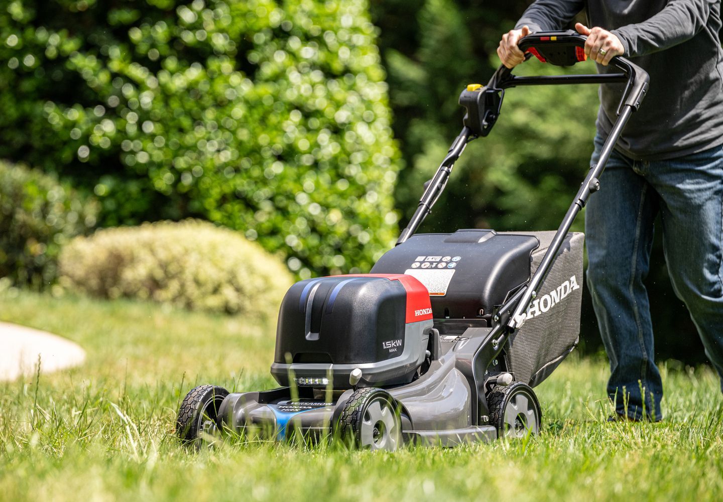 Person Pushing a Black Lawn Mower — Great Lakes Mowers & Chainsaws In Pacific Palms, NSW