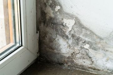 A corner wall next to a window frame showing dark, spreading mold and peeling, discolored paint from moisture damage.