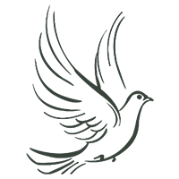 Stylized black outline of a dove in flight with wings raised