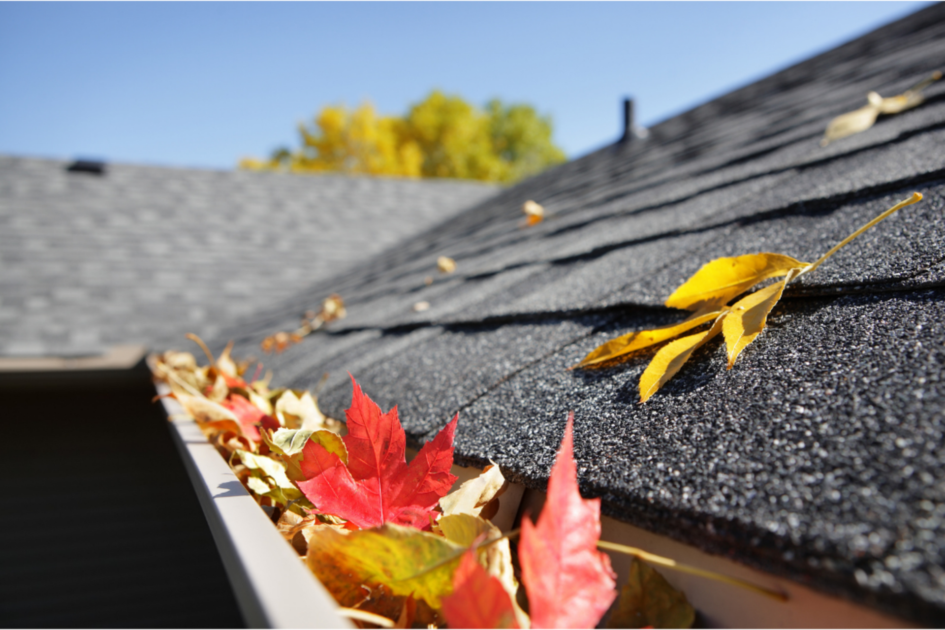 Gutter cleaning