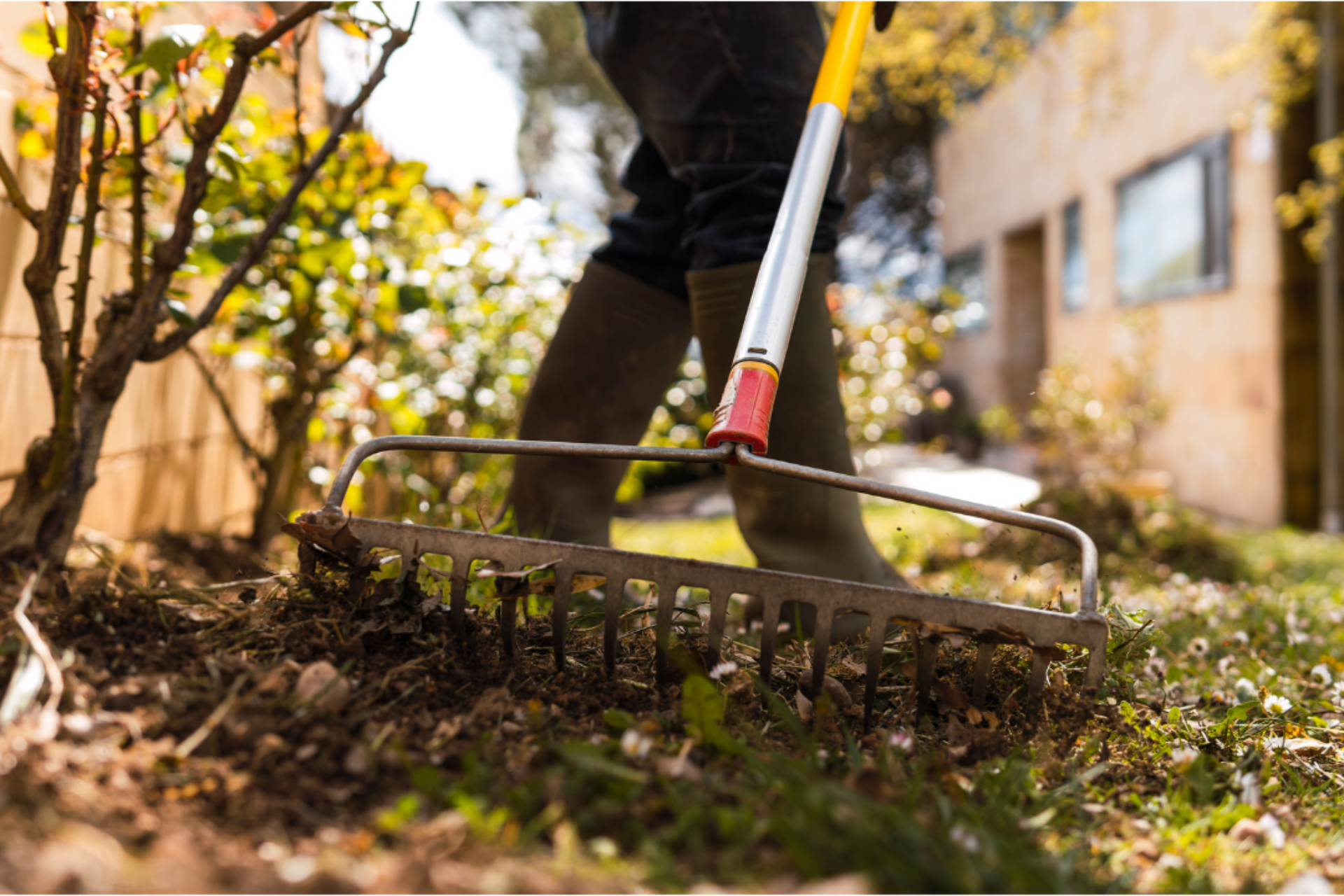 Garden bed cleanup