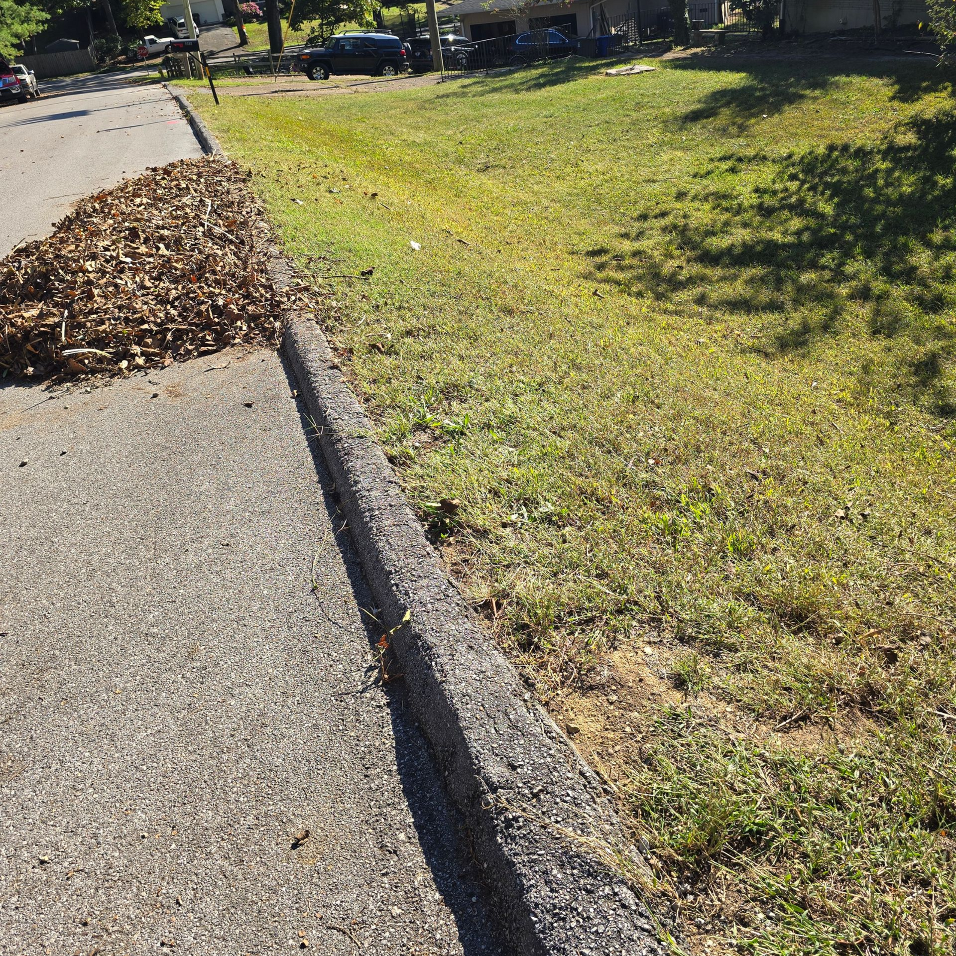 leaf blowing and collecting in chattanooga