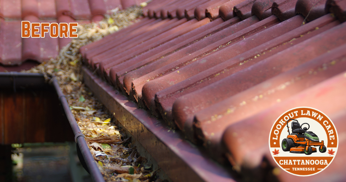 Professional clearing leaves from a residential gutter
