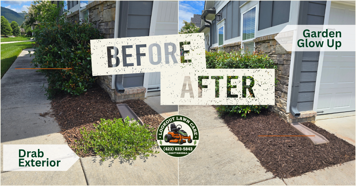 Before-and-after view of a home garden cleanup, showing a drab exterior transformed into a tidy mulched front entry.