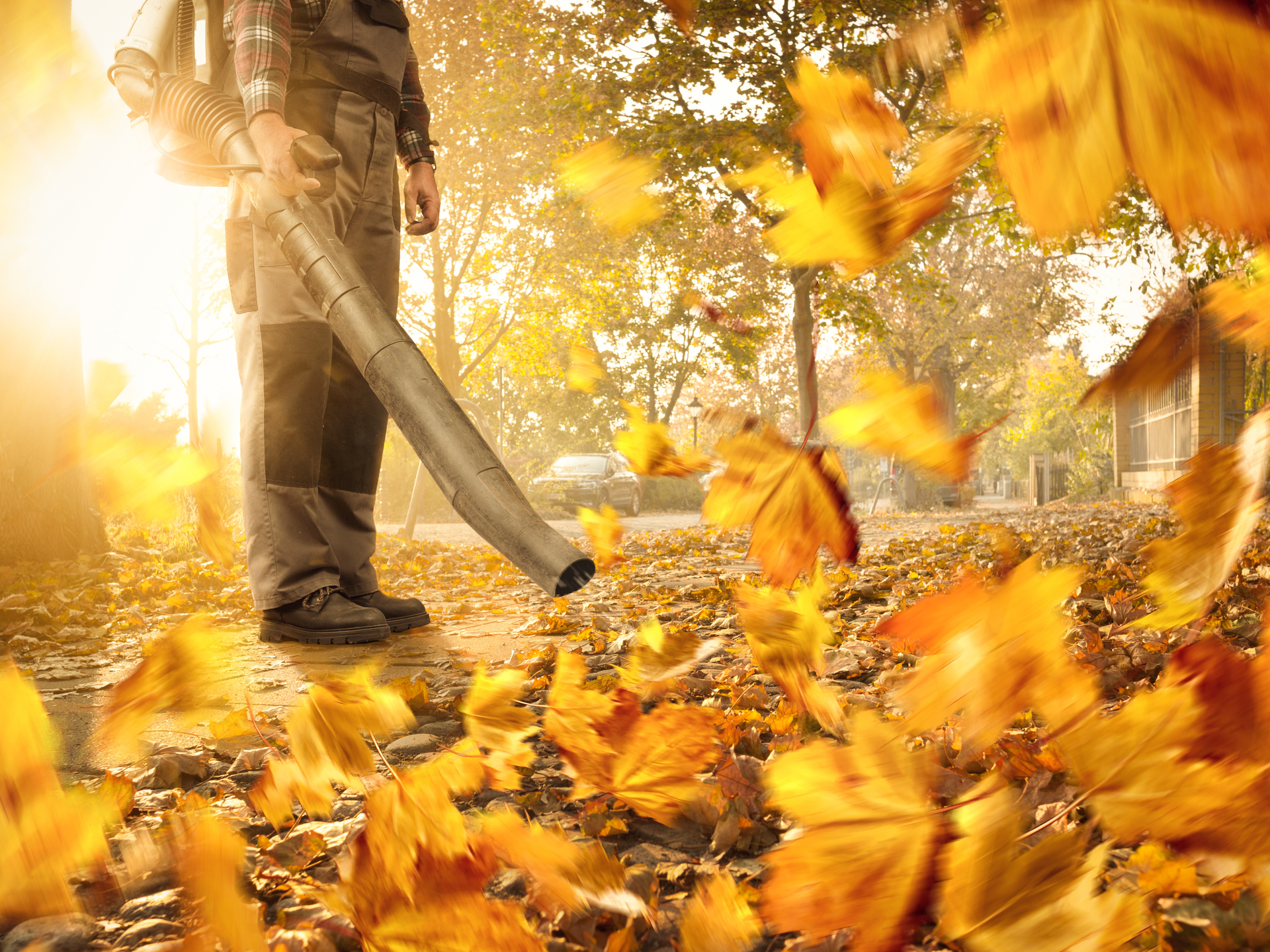 Leaf blowing