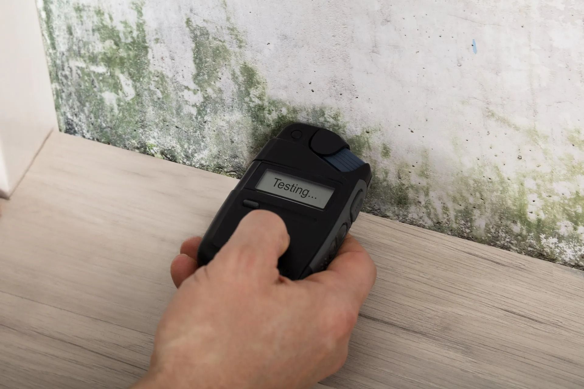 Hand holding a moisture meter measuring wall with green mold.