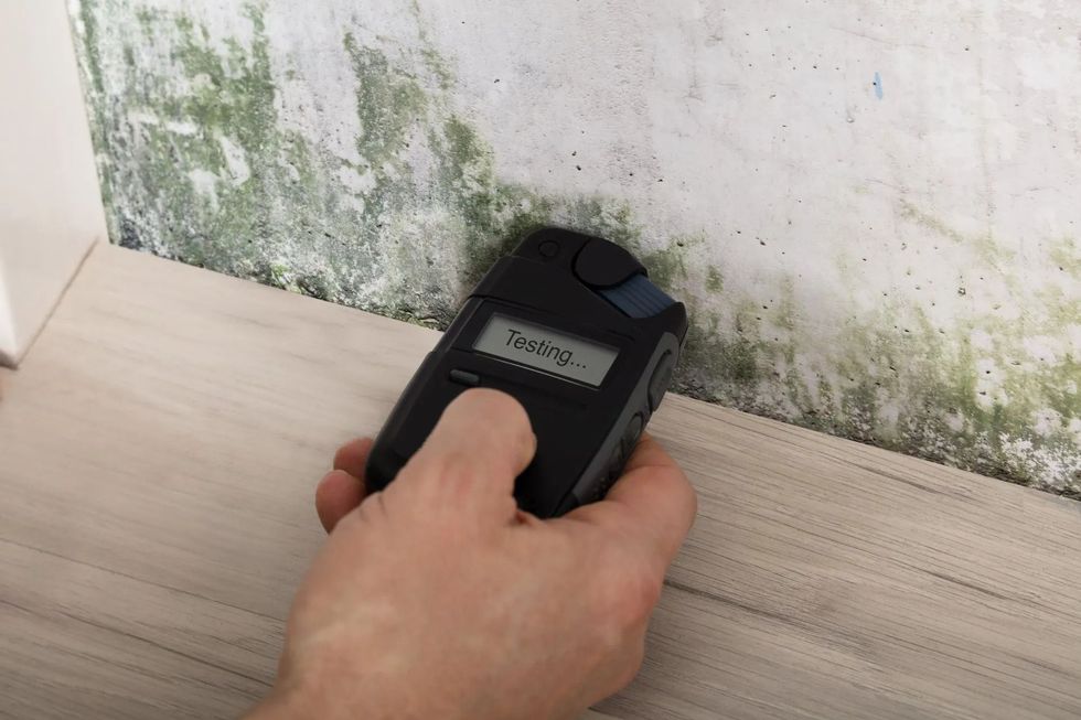 Hand holding moisture meter on moldy wall.
